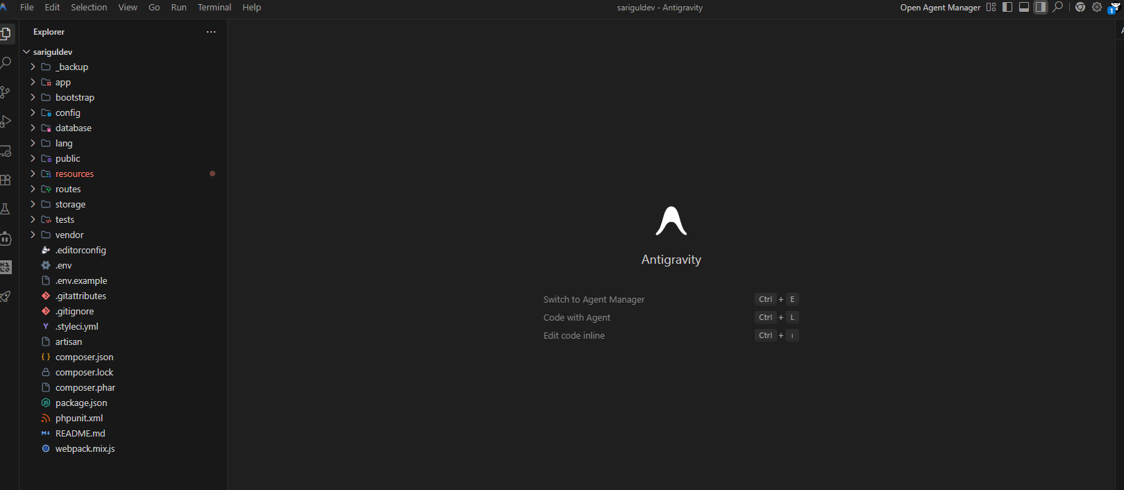 Vibe Coding